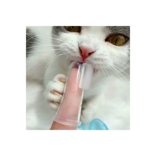 Kedi Köpek Diş Temizleme Fırçası Fiyatı, Yorumları ve Özellikleri