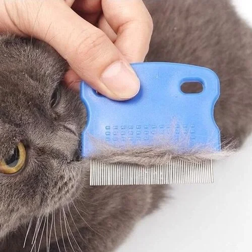 Kedi Köpek İçin Bit Pire Tarağı Fiyatı, Yorumları ve Özellikleri