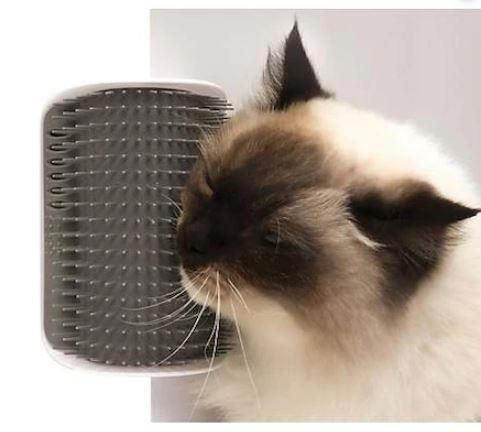 Kedi Köpek Kaşınma Sürtünme Tüy Tarama Masajı Köşe Kenar Fırça
