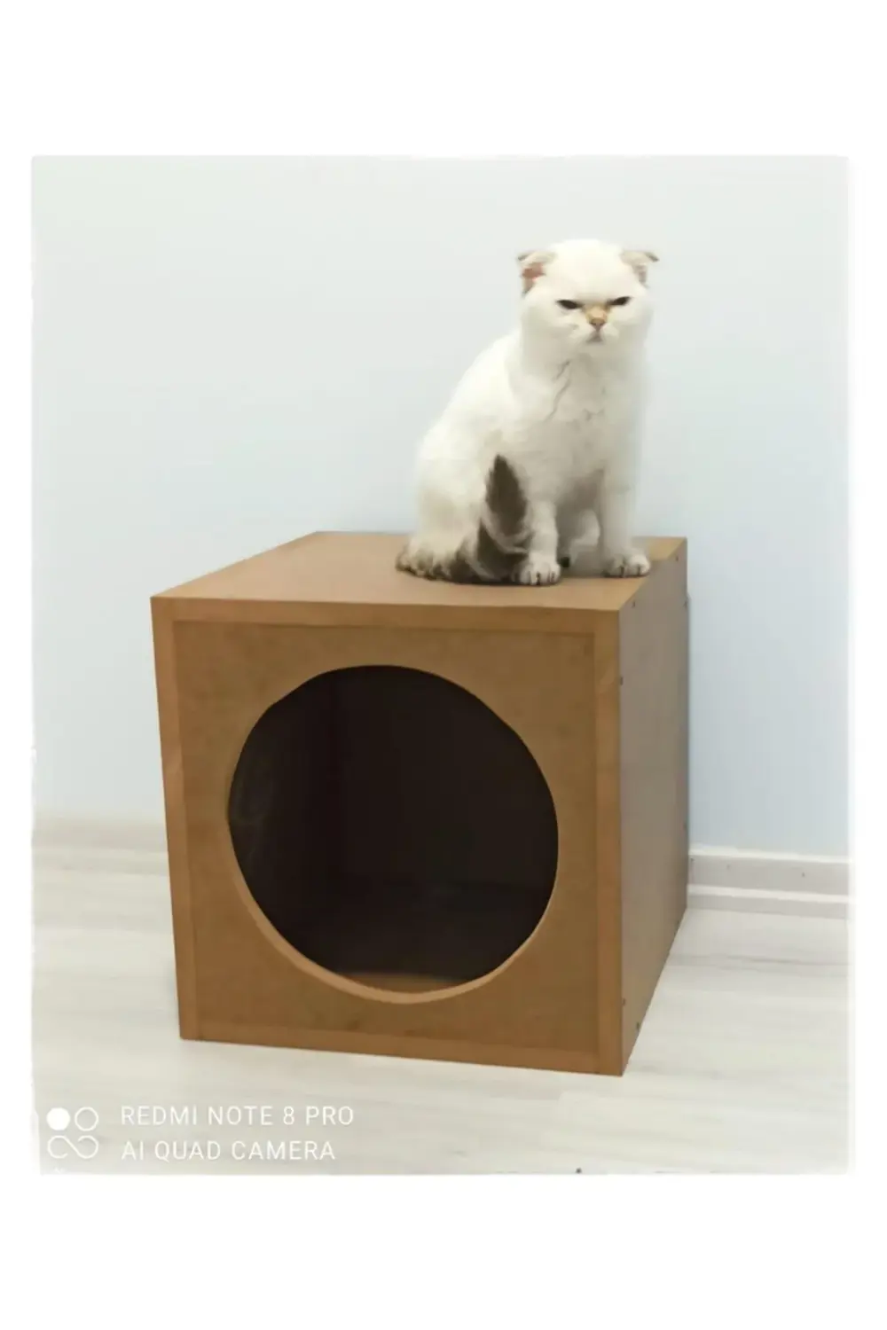 Kedi Köpek Kulübesi