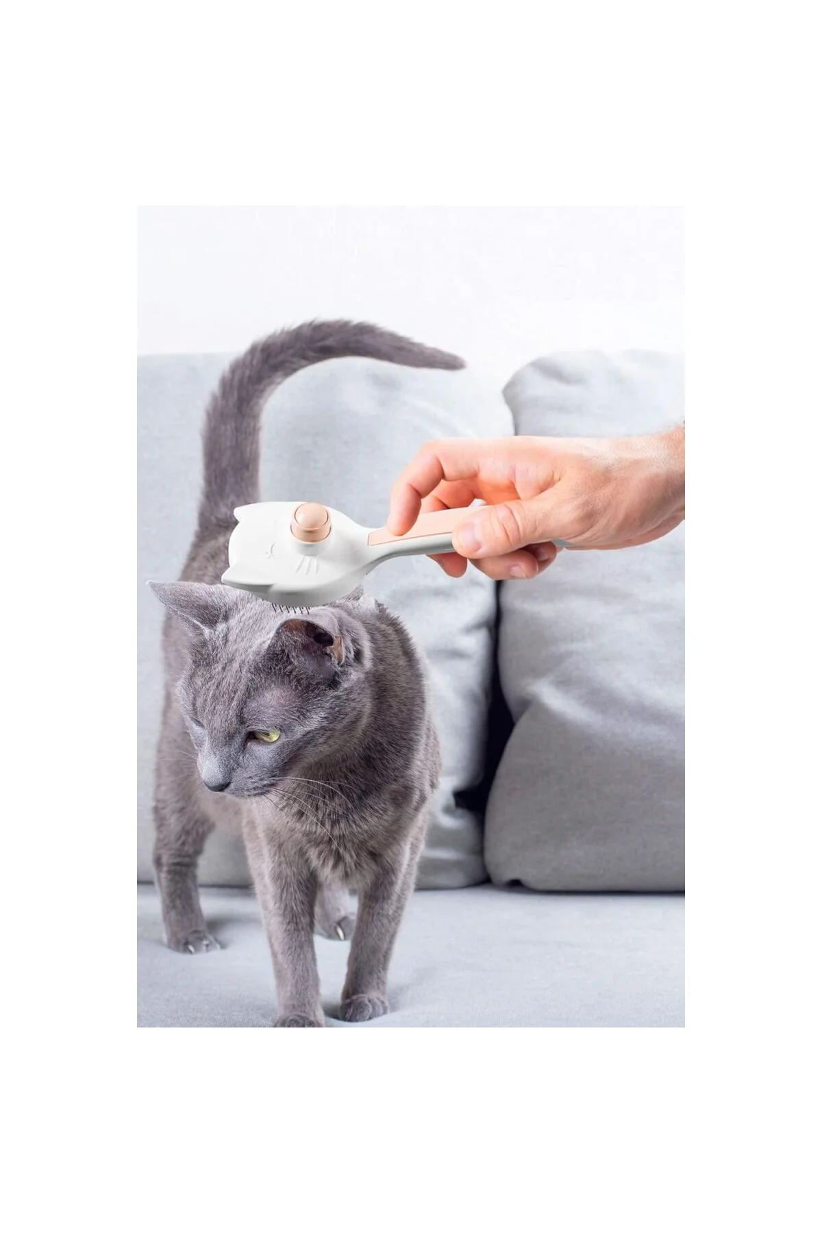 Kedi Köpek Otomatik Temizlenen Tuşlu Tüy Toplayıcı Tarak Basmalı Kedi Köpek Fırça