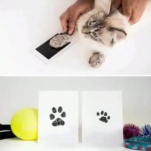 Kedi Köpek Pati İzi Fotoğraf Çerçevesi Seti Fiyatı, Yorumları ve Özellikleri