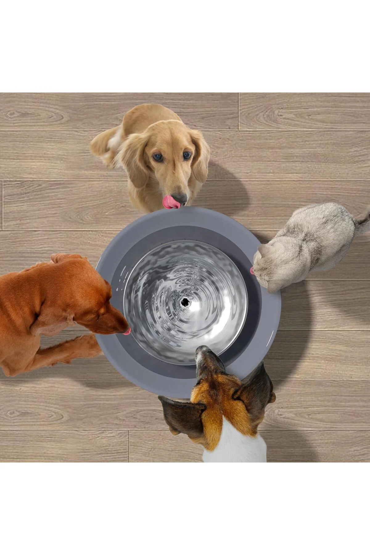 Kedi Köpek Su Pınarı 8L (ELS-WF8L) | Sessiz, Kablosuz ve Büyük Kapasiteli Kedi Köpek Su Pınarı 8L (ELS-WF8L) | Sessiz, Kablosuz ve Büyük Kapasiteli