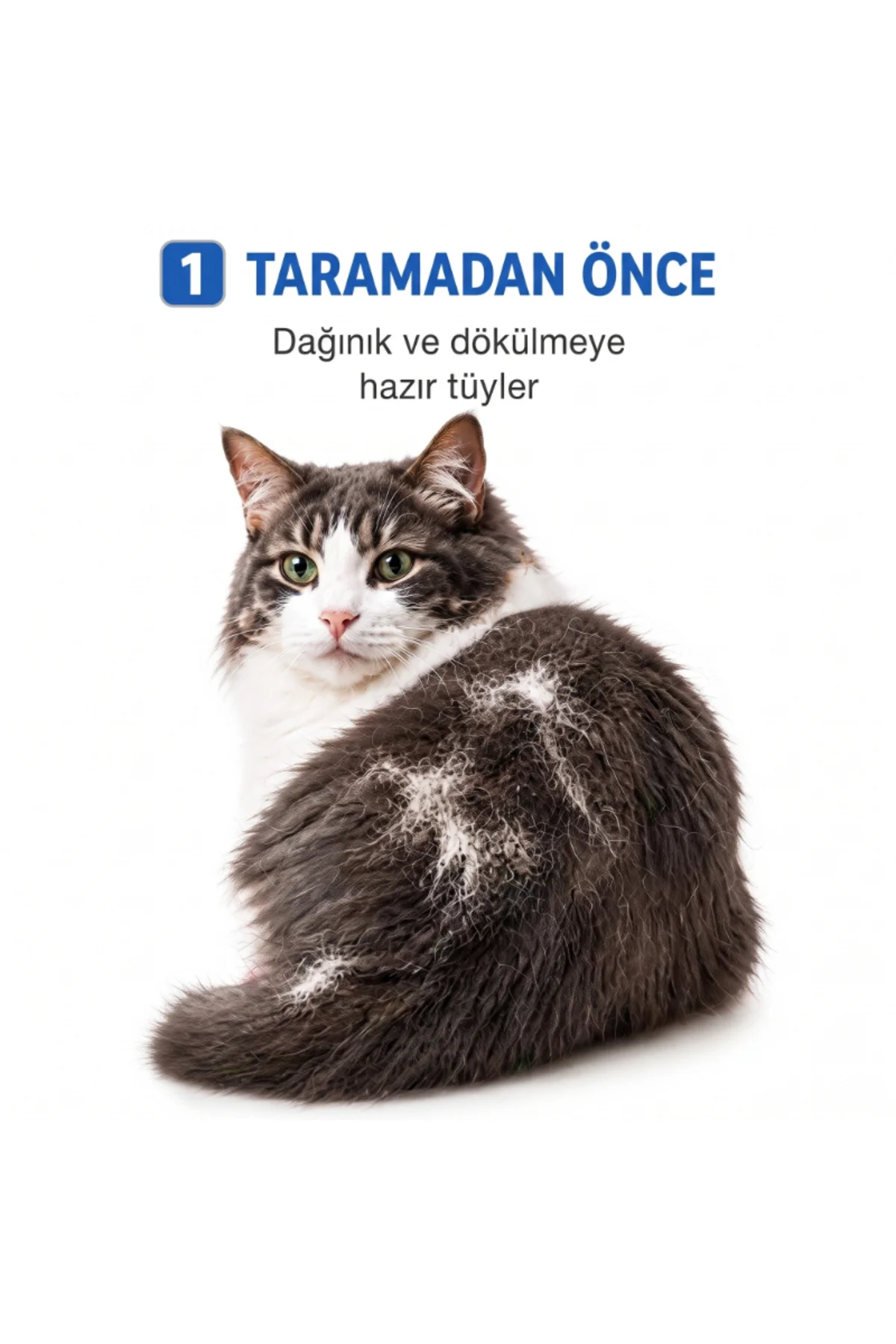 Kedi Köpek Tarağı - Evcil Hayvan Tüy Toplama Tarağı - Metal Uçlu Kedi Köpek Tarağı - Evcil Hayvan Tüy Toplama Tarağı - Metal Uçlu - Görsel 2