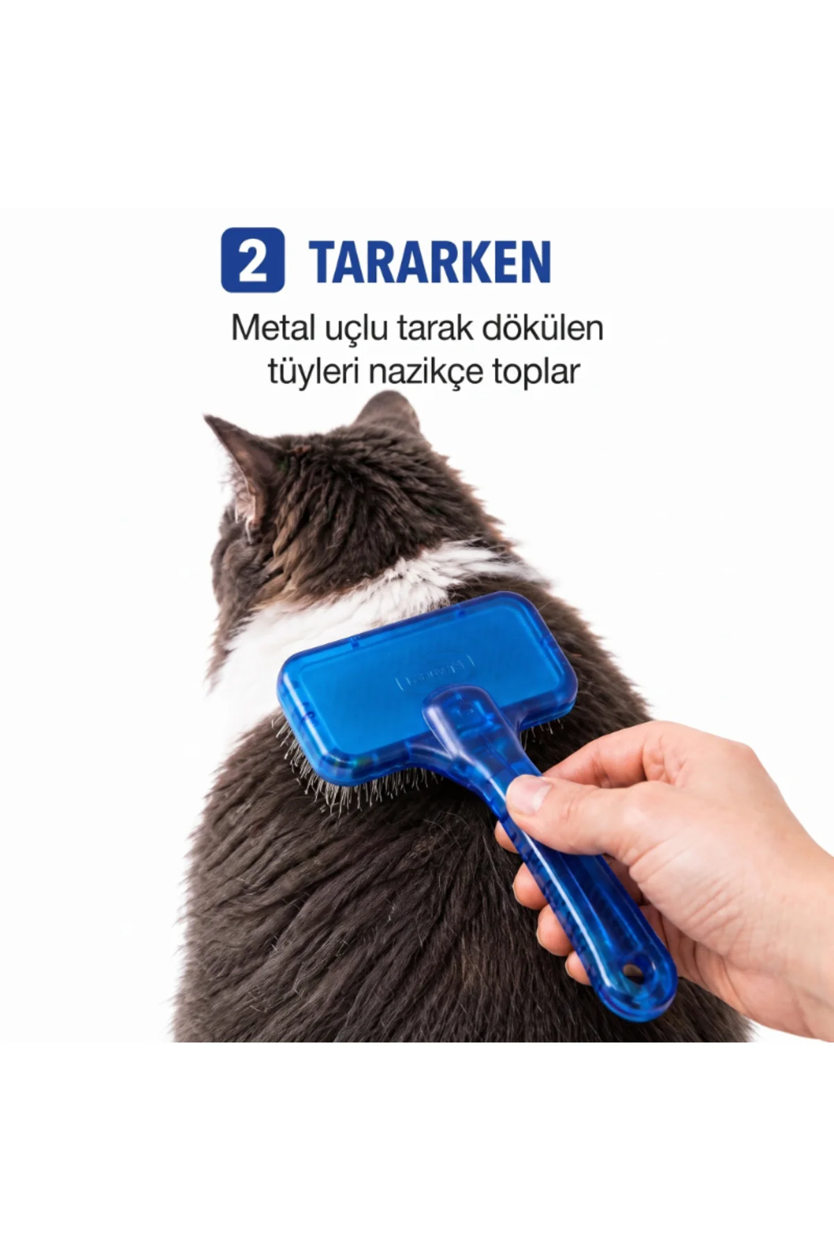 Kedi Köpek Tarağı - Evcil Hayvan Tüy Toplama Tarağı - Metal Uçlu Kedi Köpek Tarağı - Evcil Hayvan Tüy Toplama Tarağı - Metal Uçlu - Görsel 3