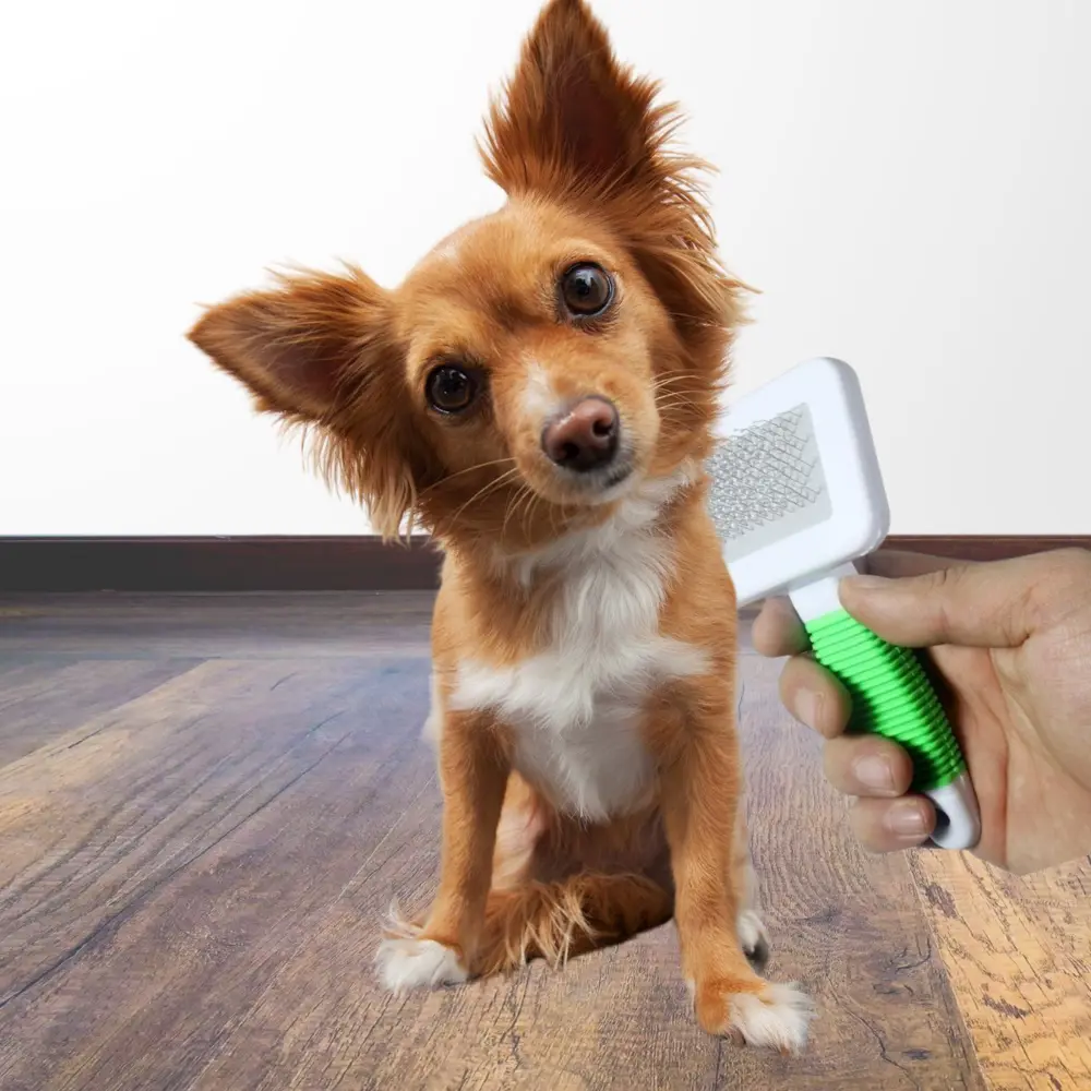Kedi Köpek Telli Küçük Boy Tüy Bakım Seti Evcil Hayvan Tarama Fır