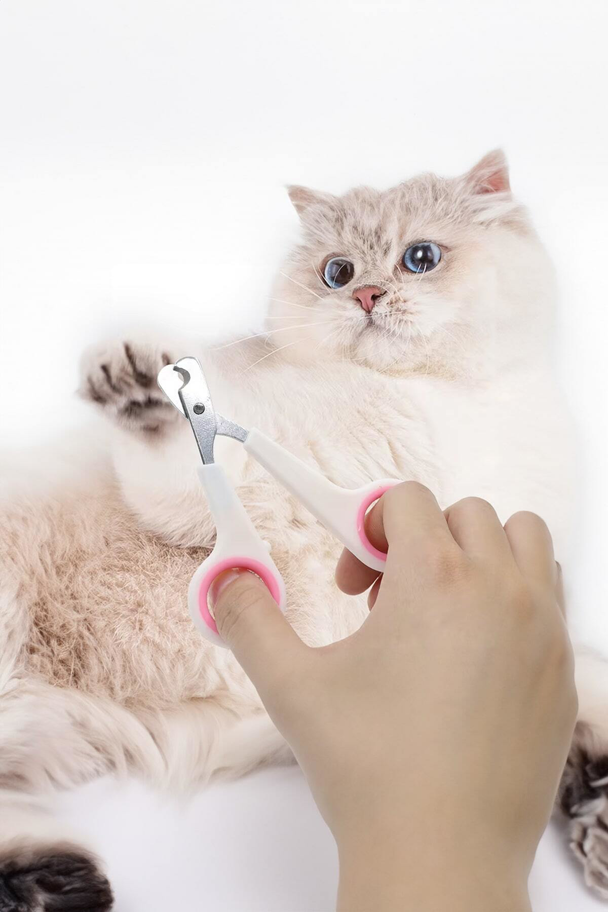 ✂️KEDİ KÖPEK TIRNAK MAKASI