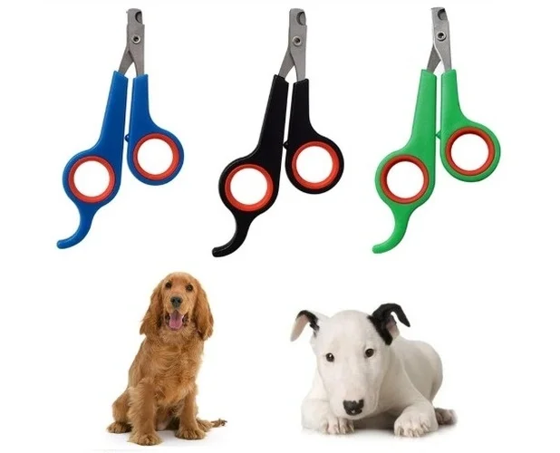 Kedi Köpek Tırnak Makası Renkli Poşetli Bx40 Fiyatı, Yorumları ve Özellikleri