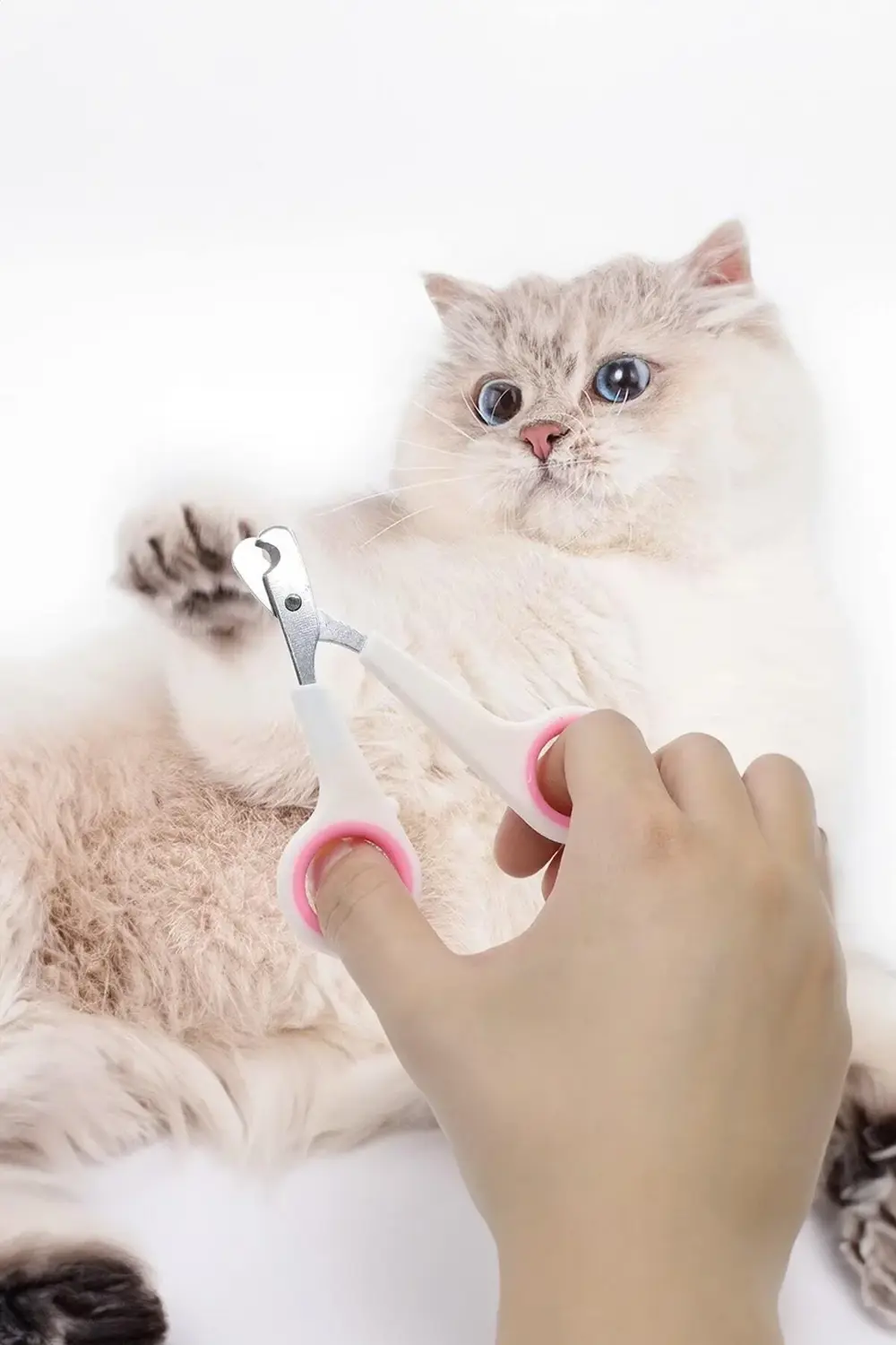 ✂️KEDİ KÖPEK TIRNAK MAKASI