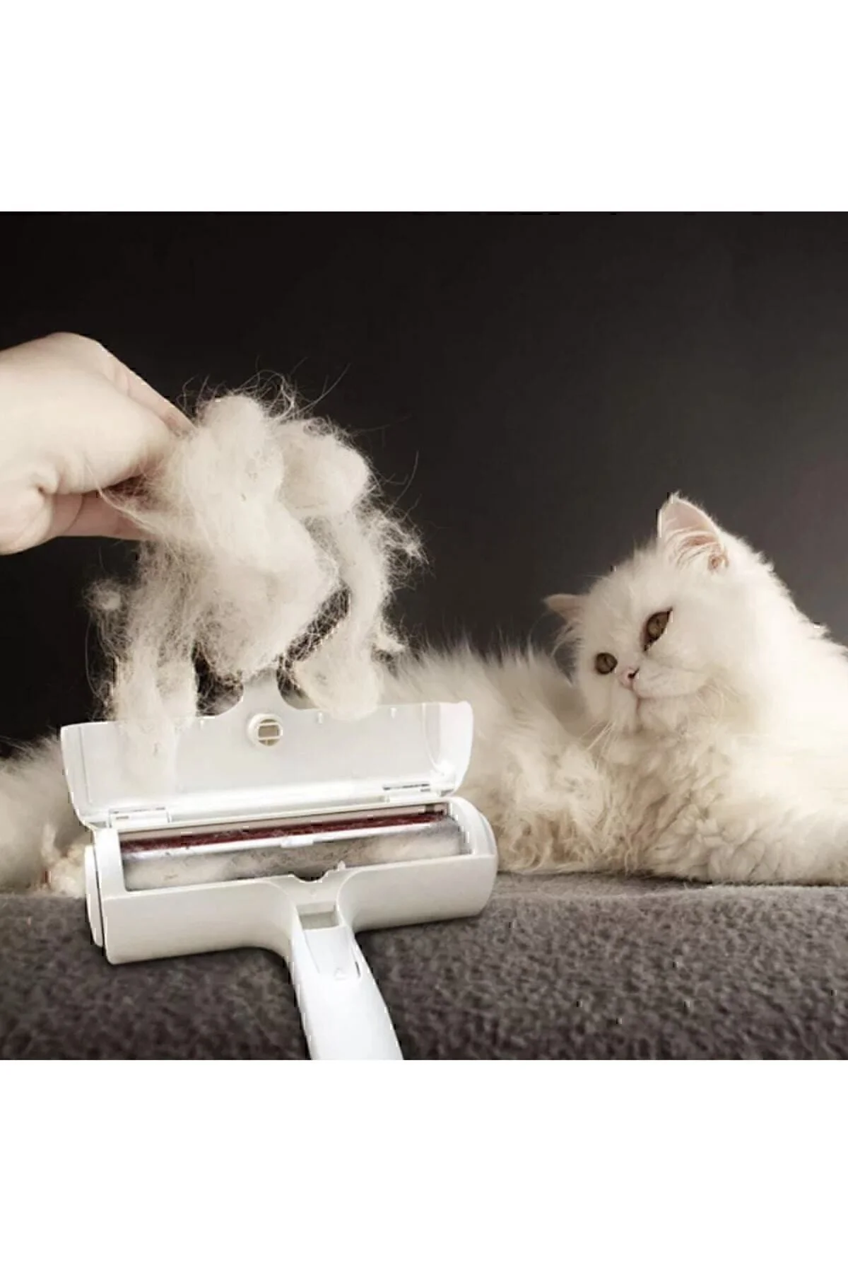 Kedi Köpek Tüy Toplayıcı Hazneli Gırgır Kedi Köpek Tüy Toplayıcı Hazneli Gırgır