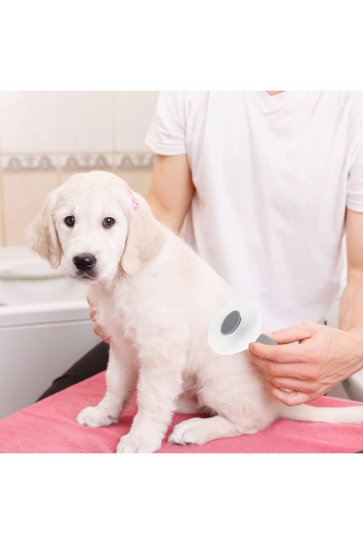 Kedi Köpek Tüy Toplayıcı Pet Tarak 20 Cm - Lisinya Kedi Köpek Tüy Toplayıcı Pet Tarak 20 Cm - Lisinya