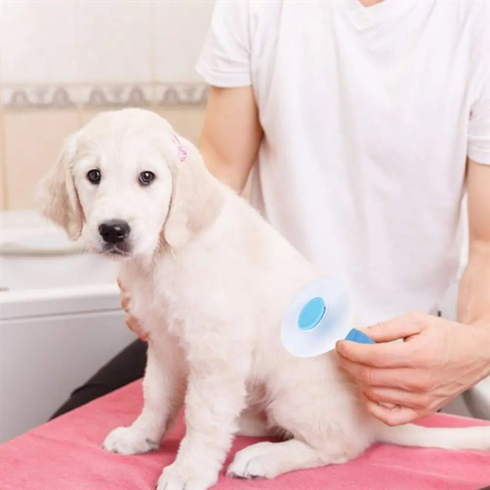 Kedi Köpek Tüy Toplayıcı Kendini Temizleyebilen Ergonomik Saplı E