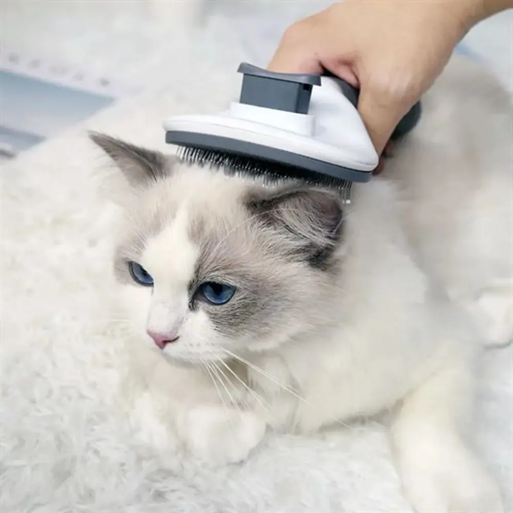Kedi Köpek Tüy Toplayıcı Kendini Temizleyebilen Ergonomik Rahat E