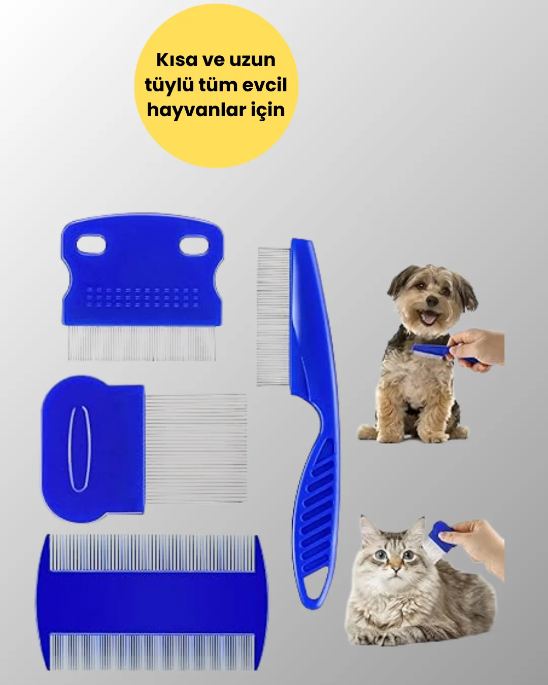 Kedi, Köpek ve Küçük Hayvanlar İçin 4 Parça Ergonomik Tarak Takım
