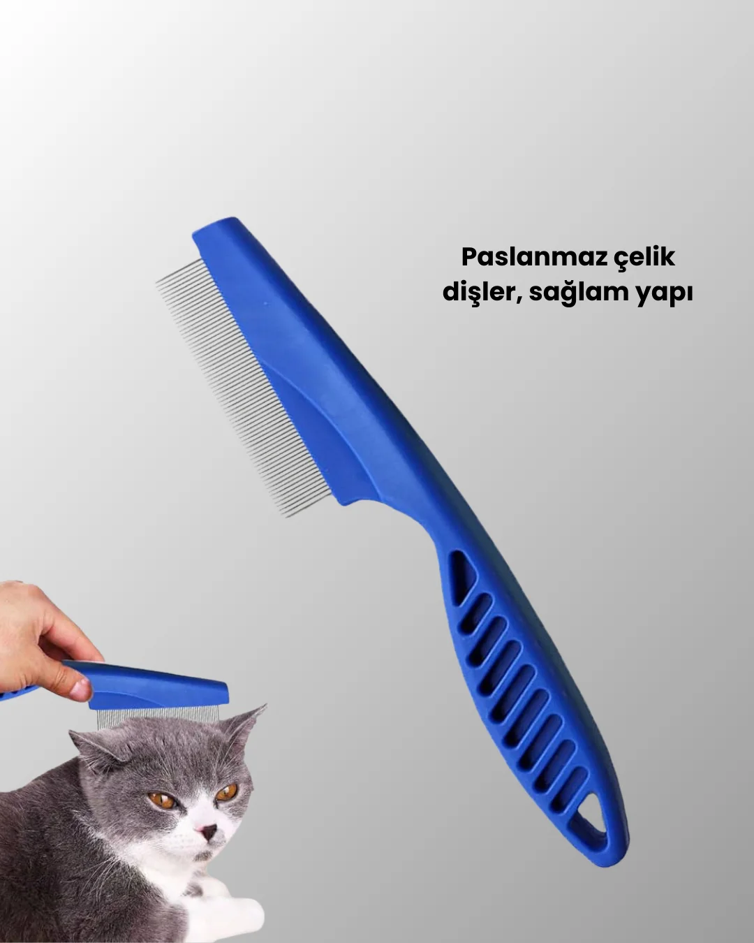 Kedi, Köpek ve Küçük Hayvanlar İçin 4 Parça Ergonomik Tarak Takım