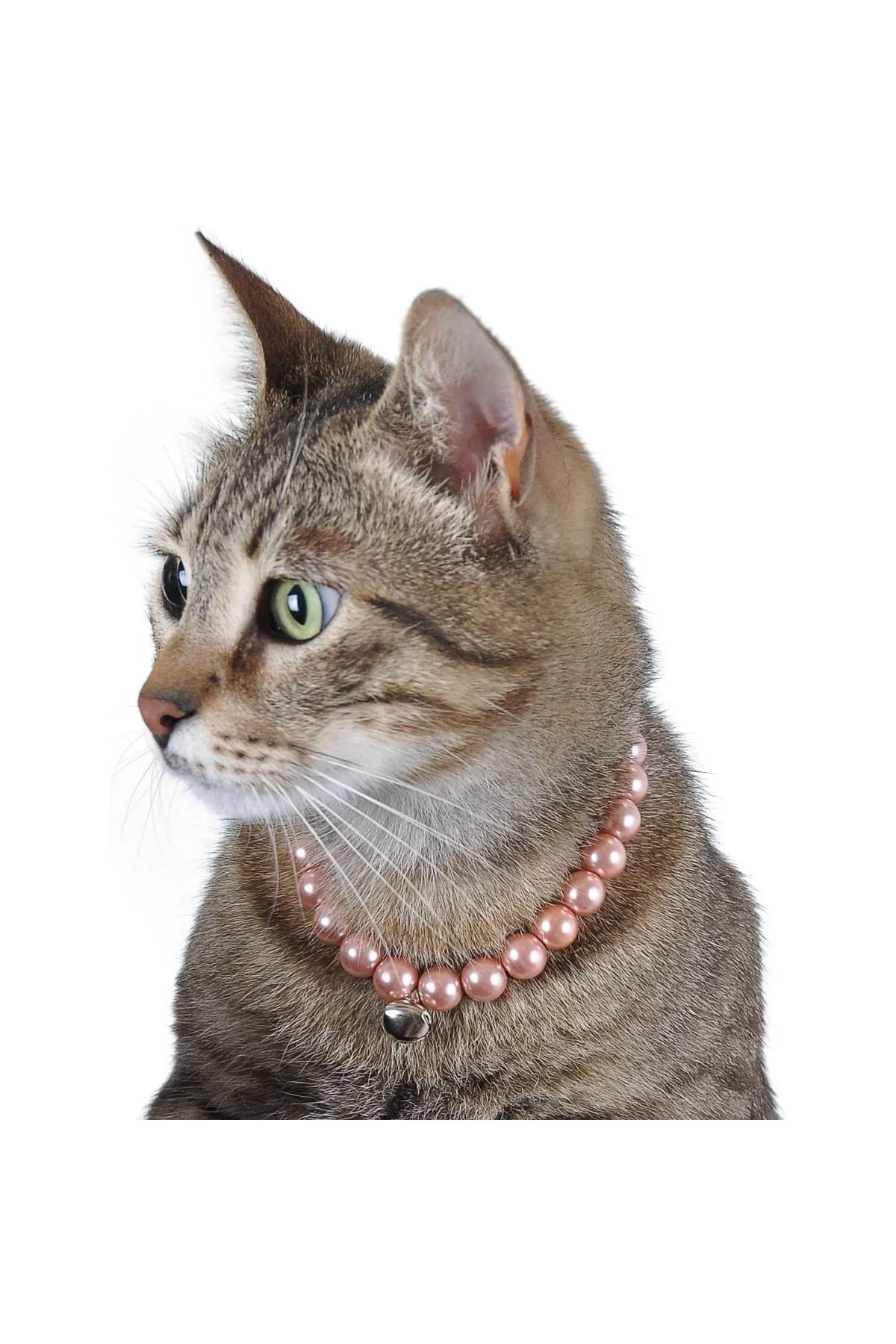 Kedi Köpek Zilli İnci Boyun Tasması