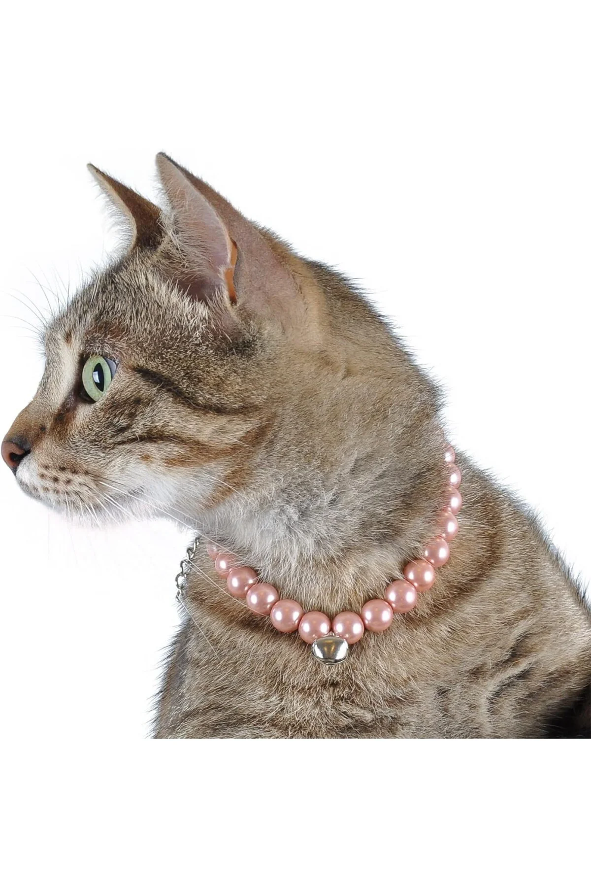 Kedi Köpek Zilli İnci Boyun Tasması