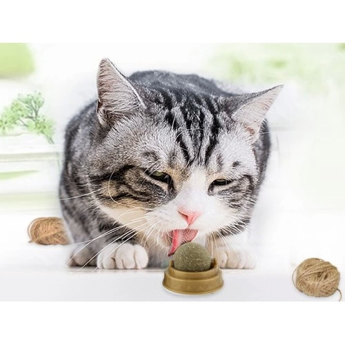 Just Cheap Store Kedi Nanesi Oyun Topu