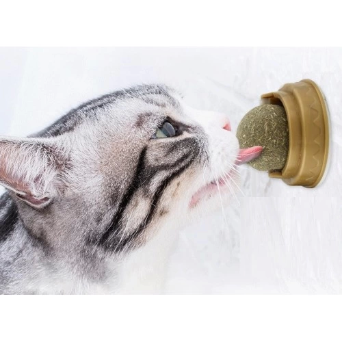 Just Cheap Store Kedi Nanesi Oyun Topu