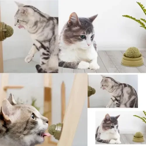 Kedi Nanesi Oyun Topu Fiyatı, Yorumları ve Özellikleri