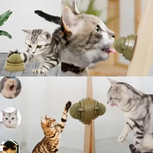 Kedi Nanesi Oyun Topu Fiyatı, Yorumları ve Özellikleri