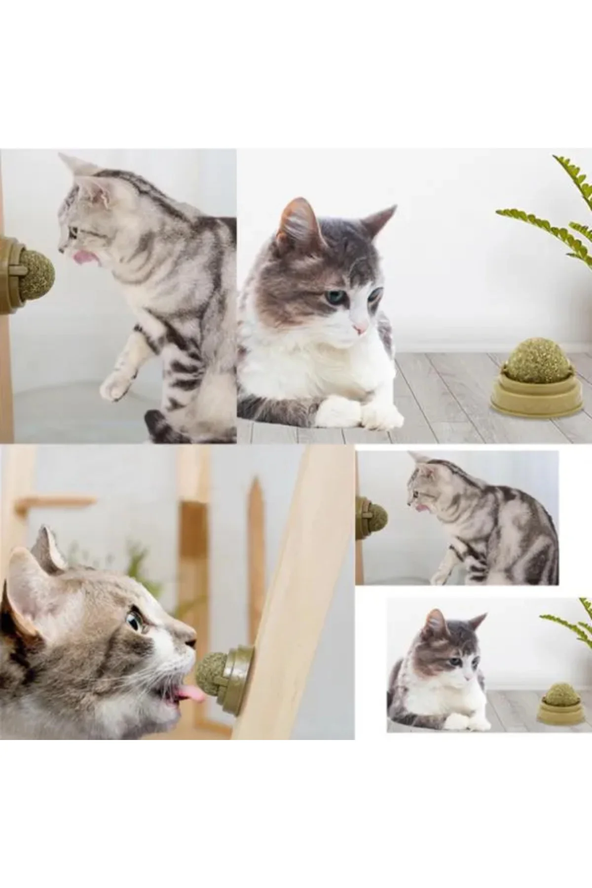 Kedi Nanesi Oyun Topu