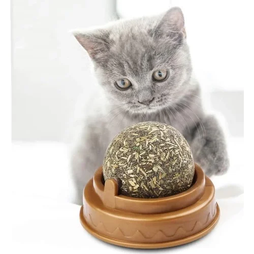 Kedi Nanesi Oyun Topu Fiyatı, Yorumları ve Özellikleri