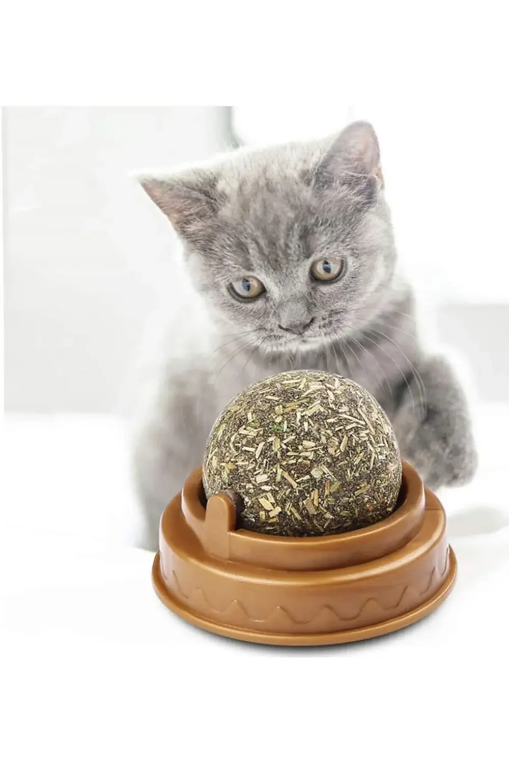 Kedi Nanesi Oyun Topu