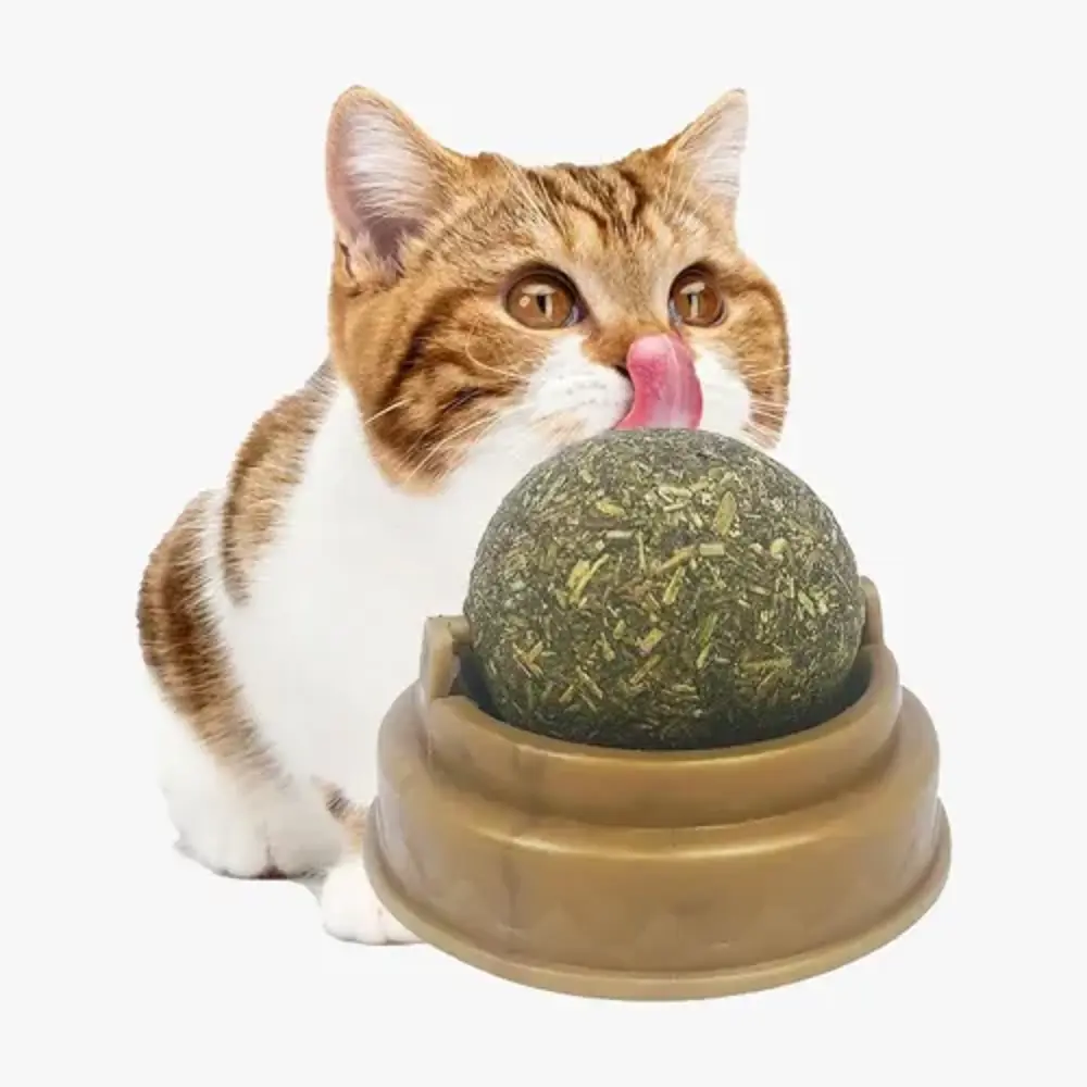 Kedi Nanesi Topu