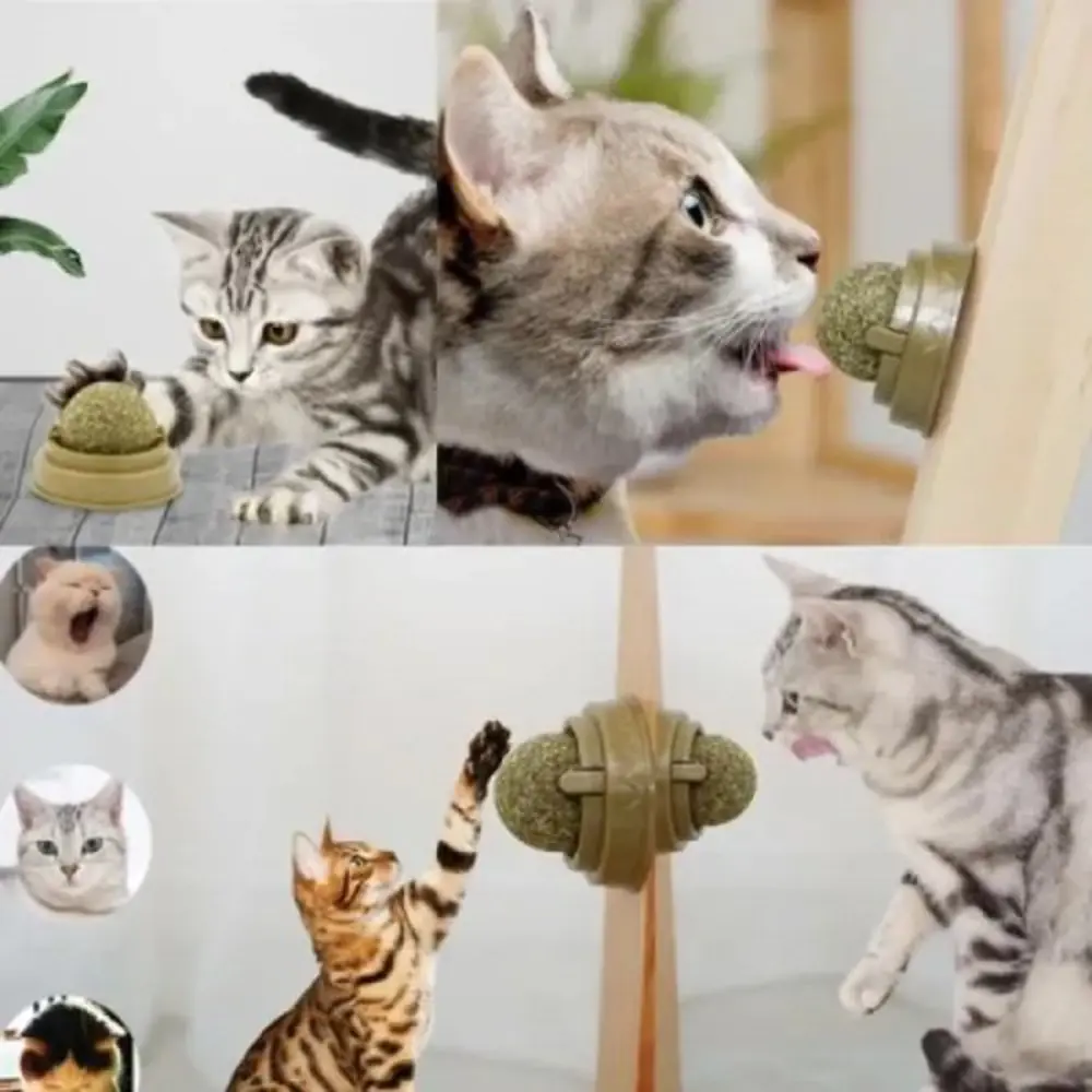 Kedi Nanesi Topu