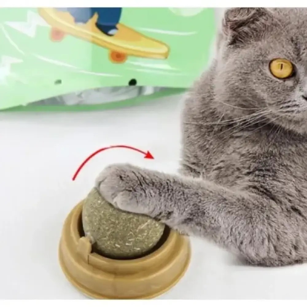 Kedi Nanesi Topu