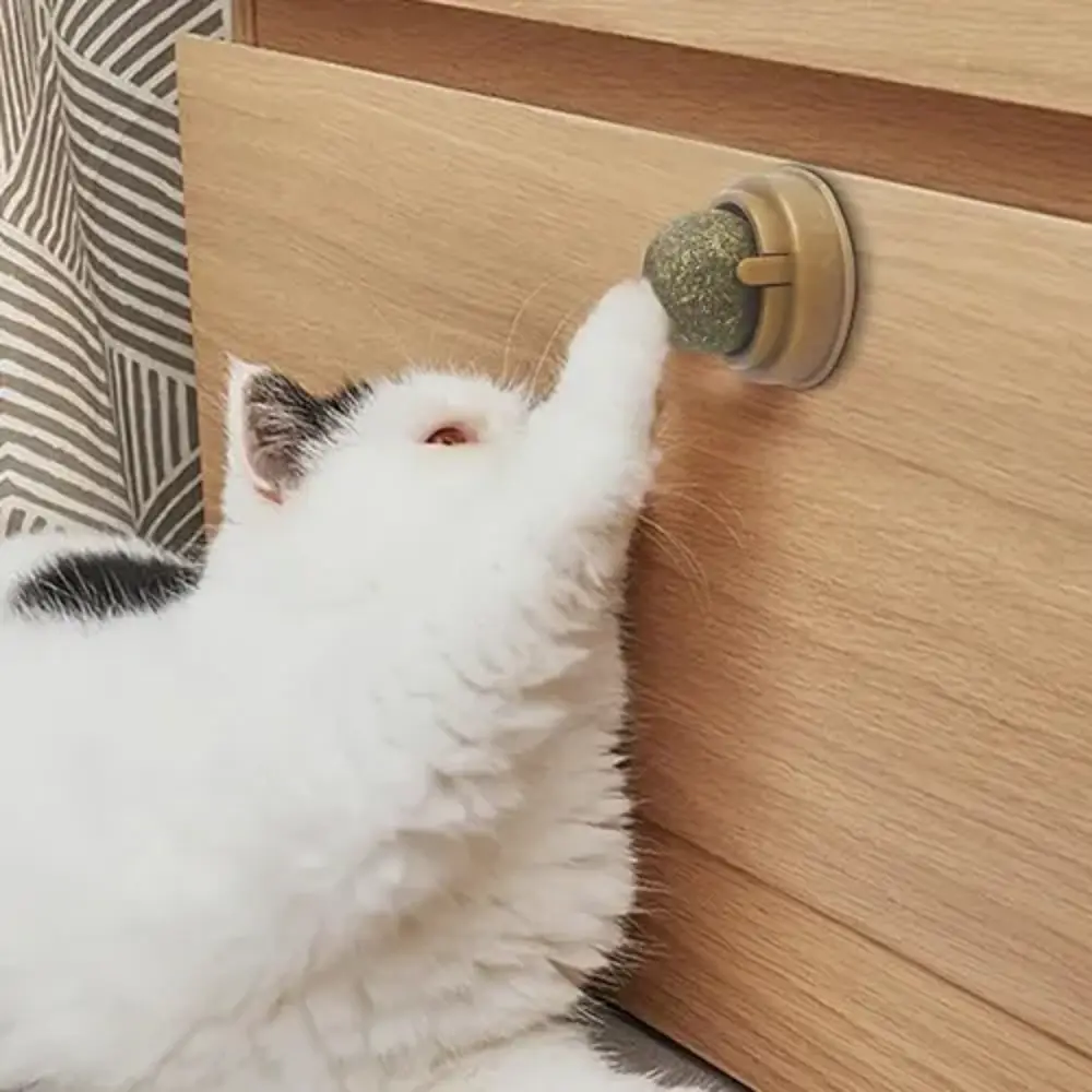 Kedi Nanesi Topu