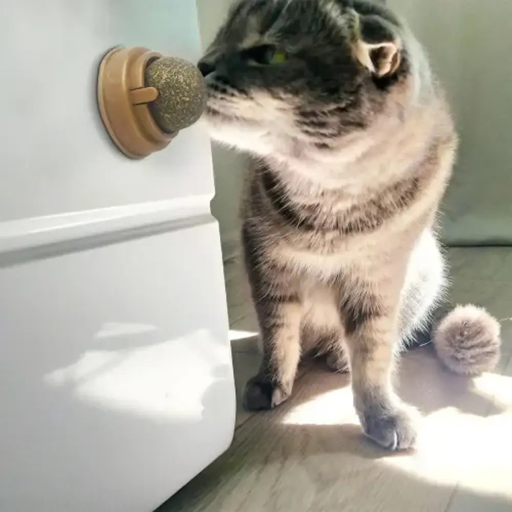 Kedi Nanesi Topu