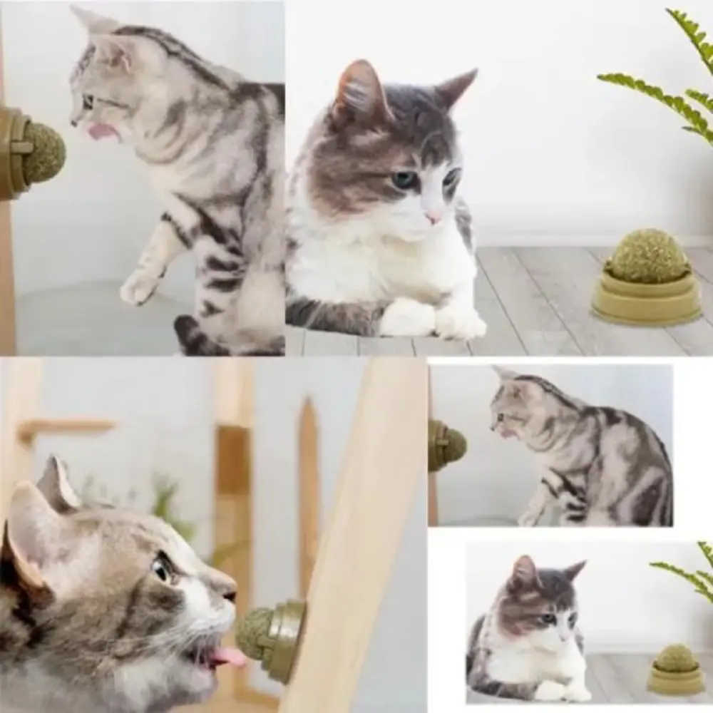 Kedi Nanesi Topu