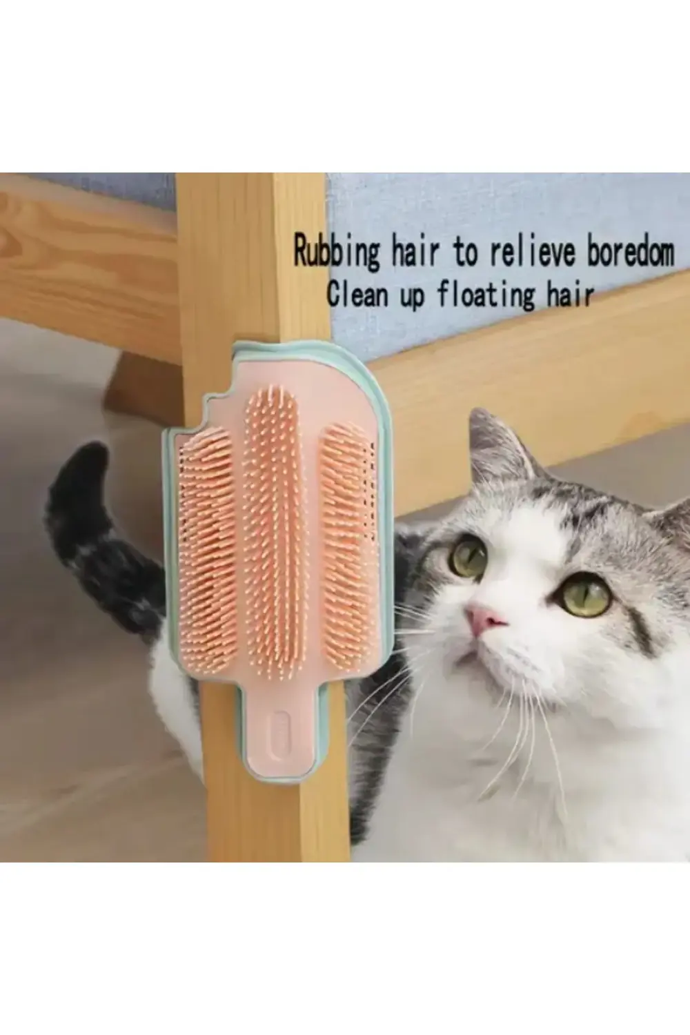 Kedi Otu Hazneli Kedi Kaşınma Atı