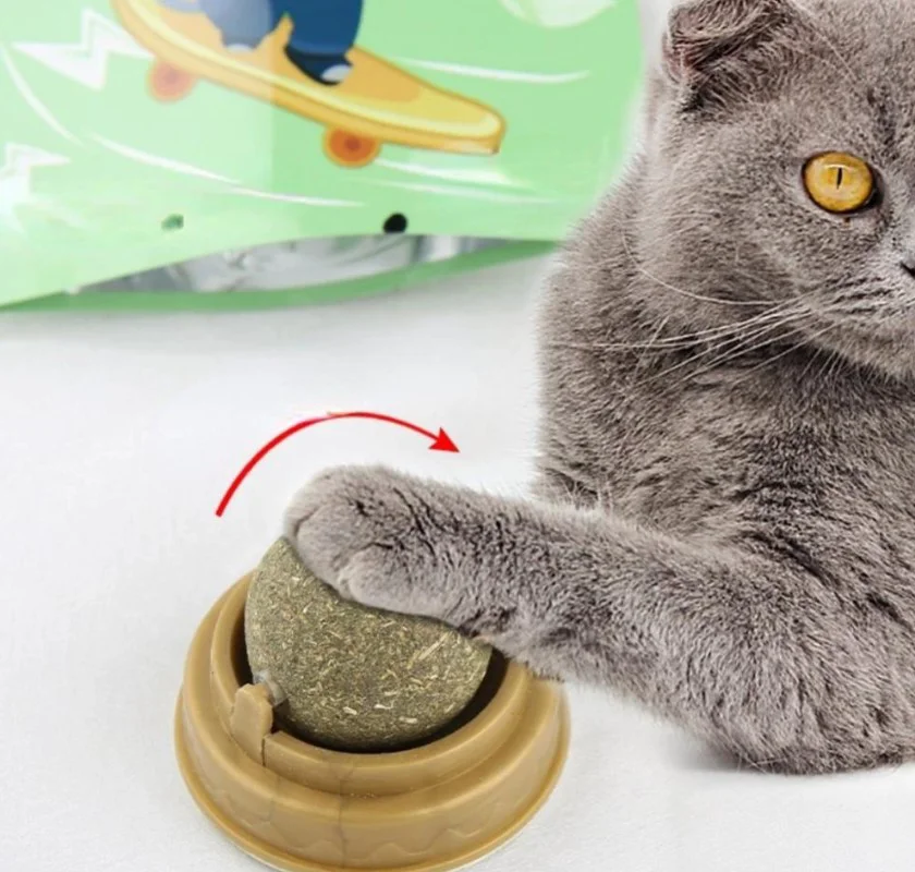 Kedi Otu İçeren Oyun Topu