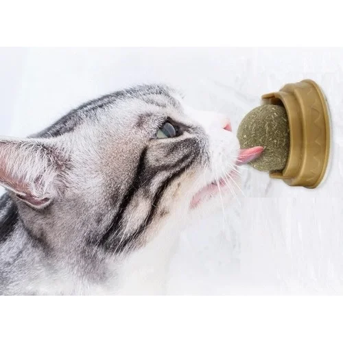 Kedi Otu Oyun Topu Fiyatı, Yorumları ve Özellikleri