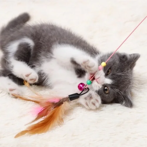 Kedi Oyun Oltası 90 cm Fiyatı, Yorumları ve Özellikleri