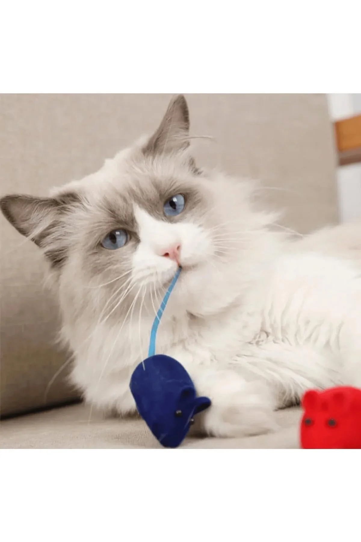 Kedi Oyuncağı Sesli Fare – Basınca Ses Çıkaran Plastik & Kumaş Oyuncak – Kediler İçin A