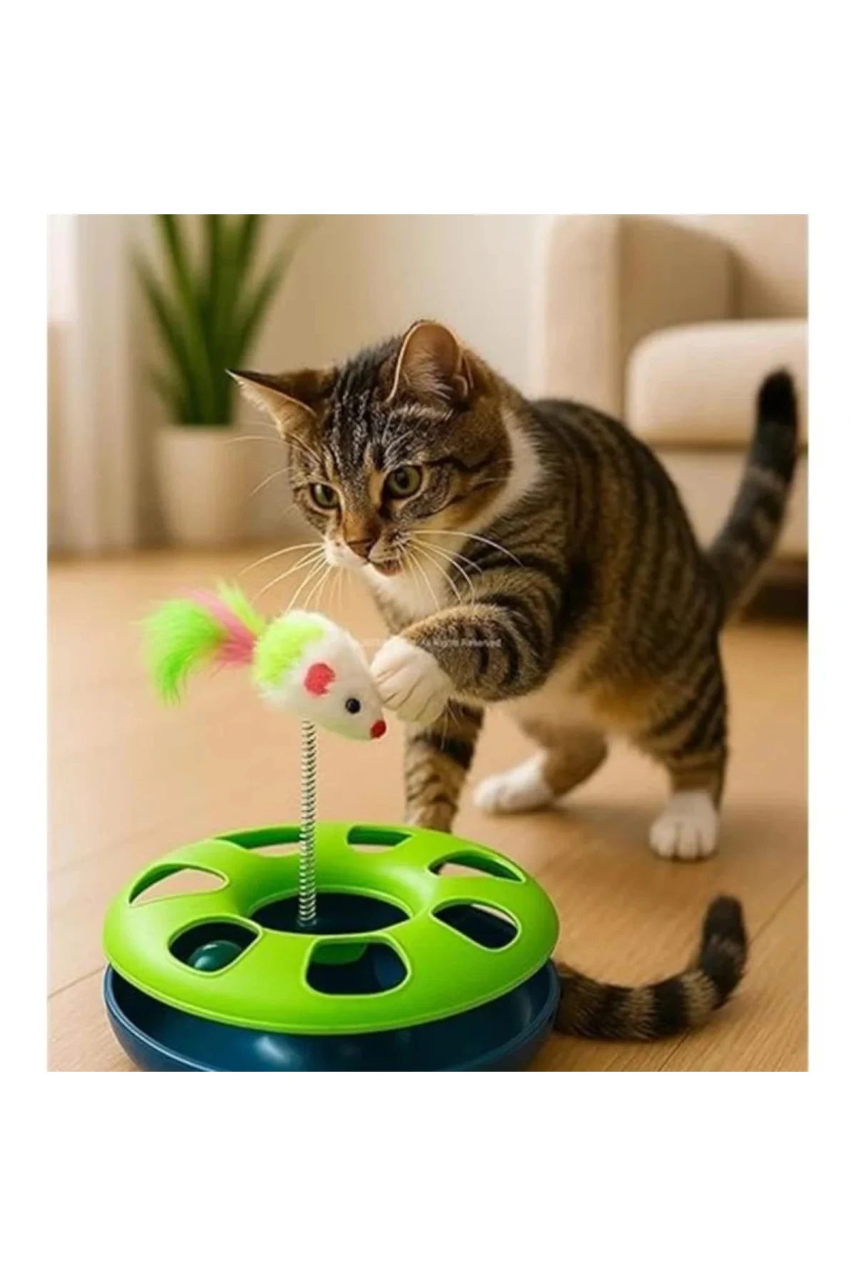 Kedi Oyuncak Seti, Yaylı Tüylü Toplu Kedi Eğlence İstasyonu, Döne