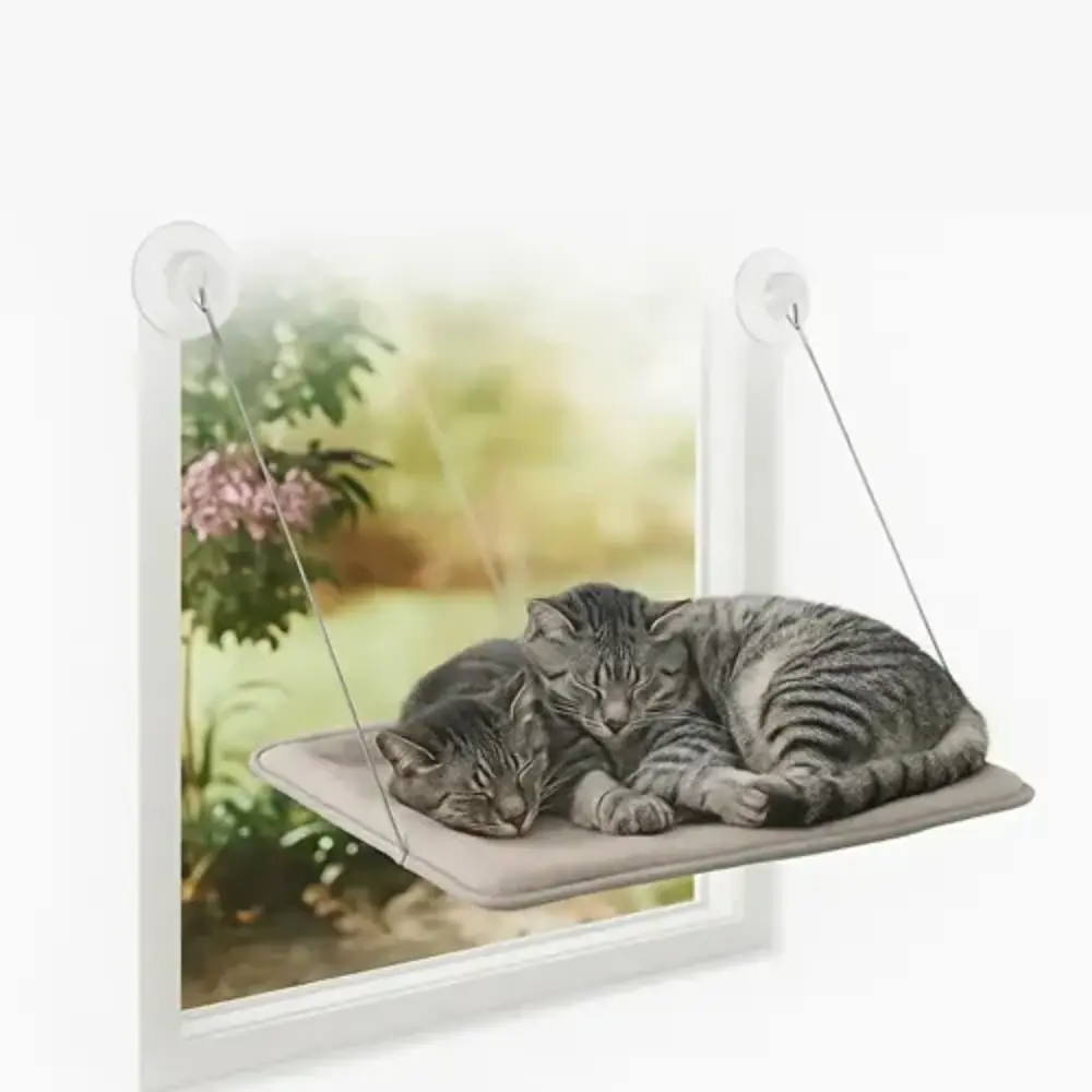 Kedi Pencere Yatağı Kedi Pencere Yatağı