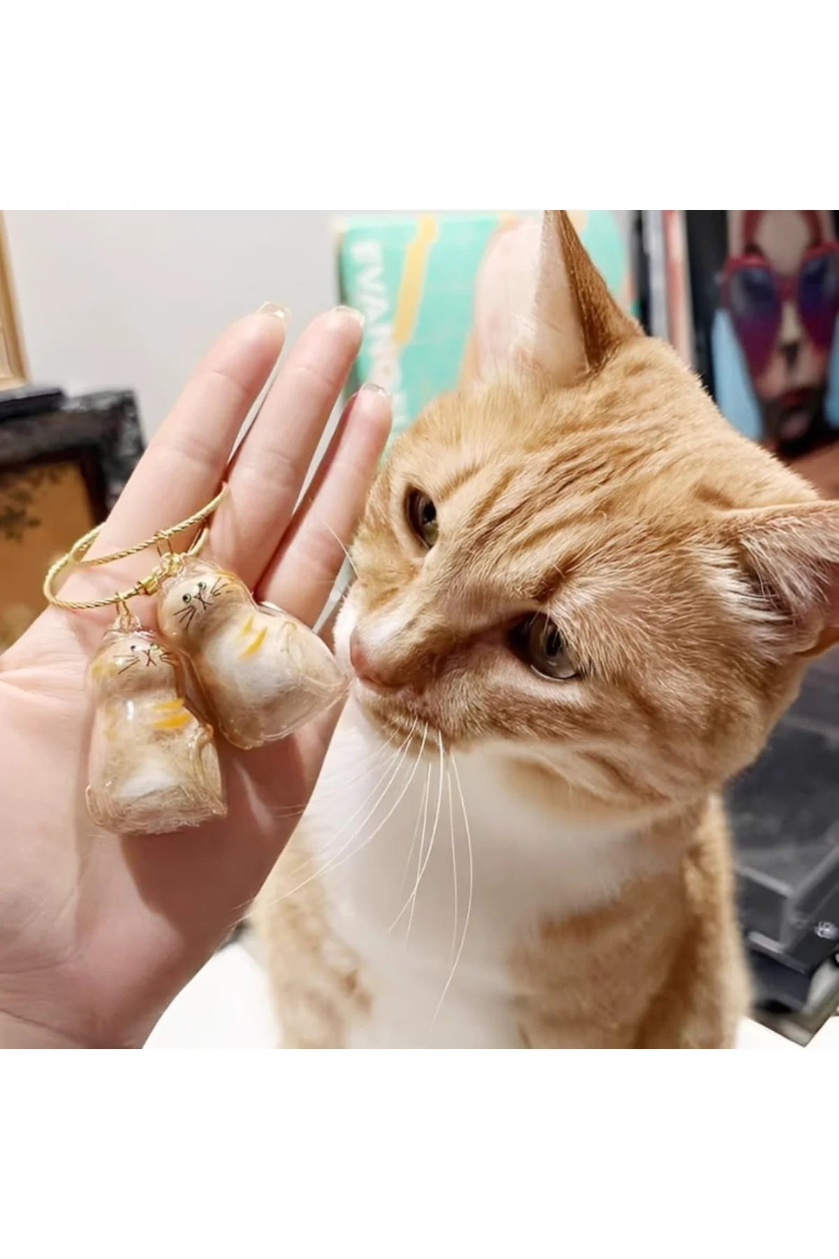 Kedi Şeffaf Anı Anahtarlığı - Kedi Figürlü - Karışık Model - Görsel 2