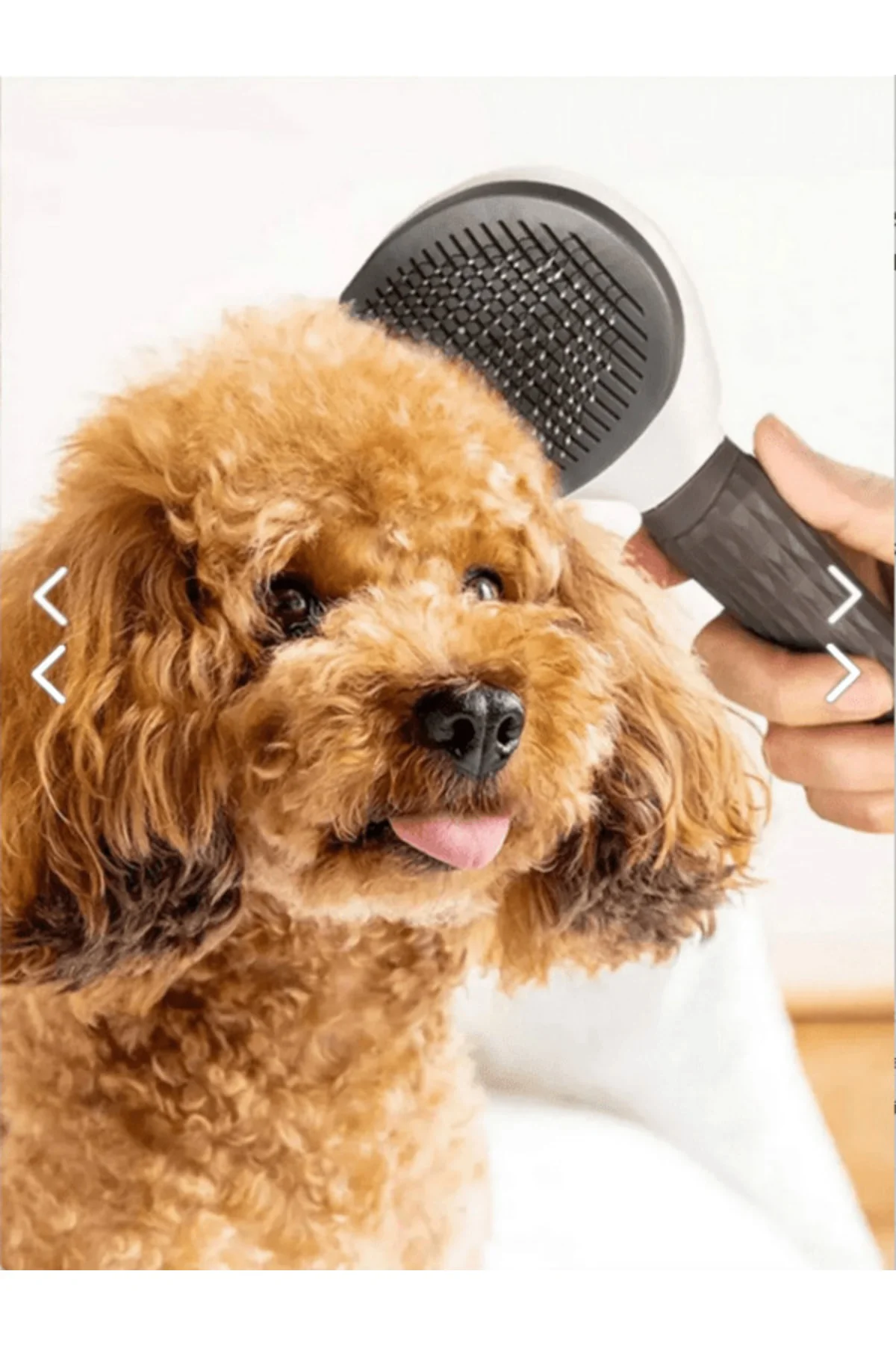 Kedi Tarağı Pet Tarağı Otomatik Temizlenen Tuşlu Evcil Hayvan Fır