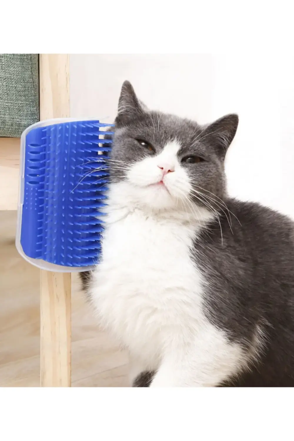 Kedi Tarağı & Rahatlatıcı