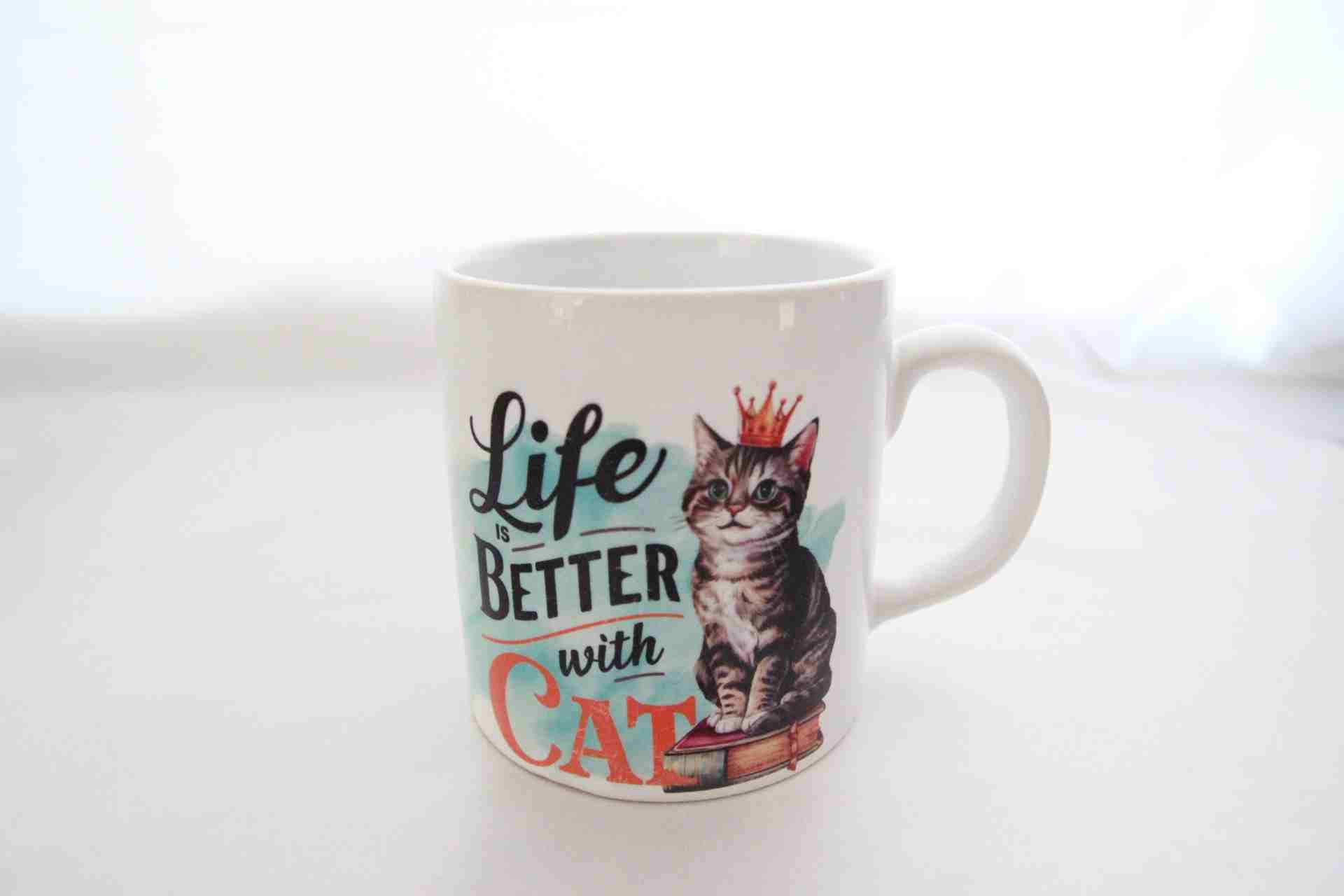 Kedi Tasarım Yastık, Defter ve Kupa Bardak Hediye Kutusu