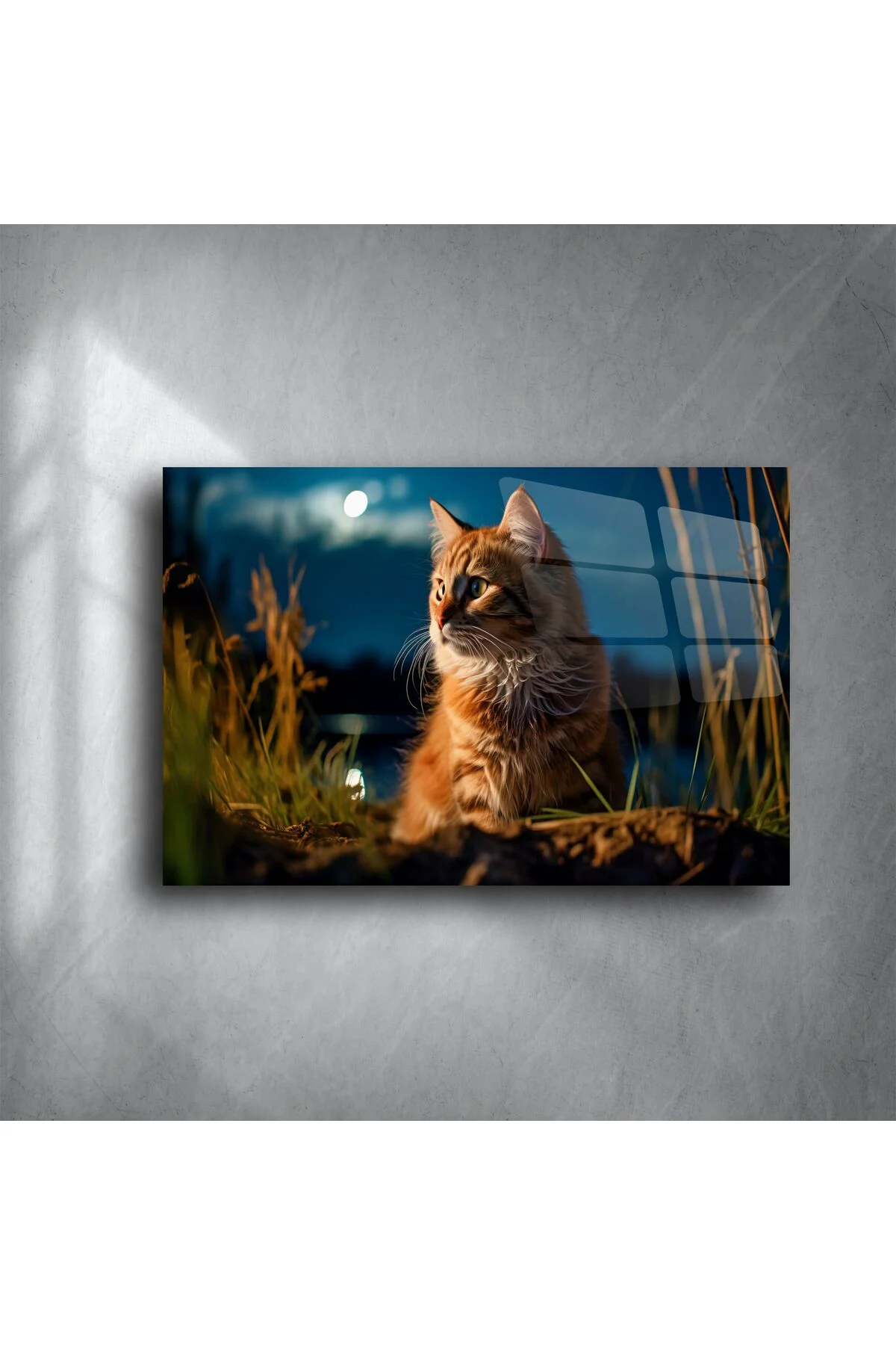 Kedi Temalı Temperli Cam Duvar Tablosu Kedi Temalı Temperli Cam Duvar Tablosu