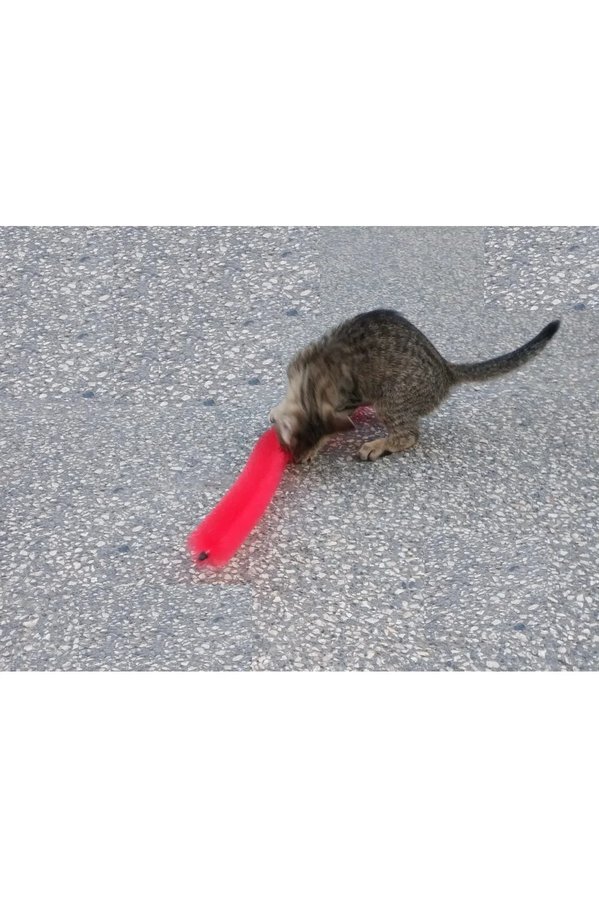 Kedi Tırmalama Fırçası - Kedi Oyuncağı - Görsel 3