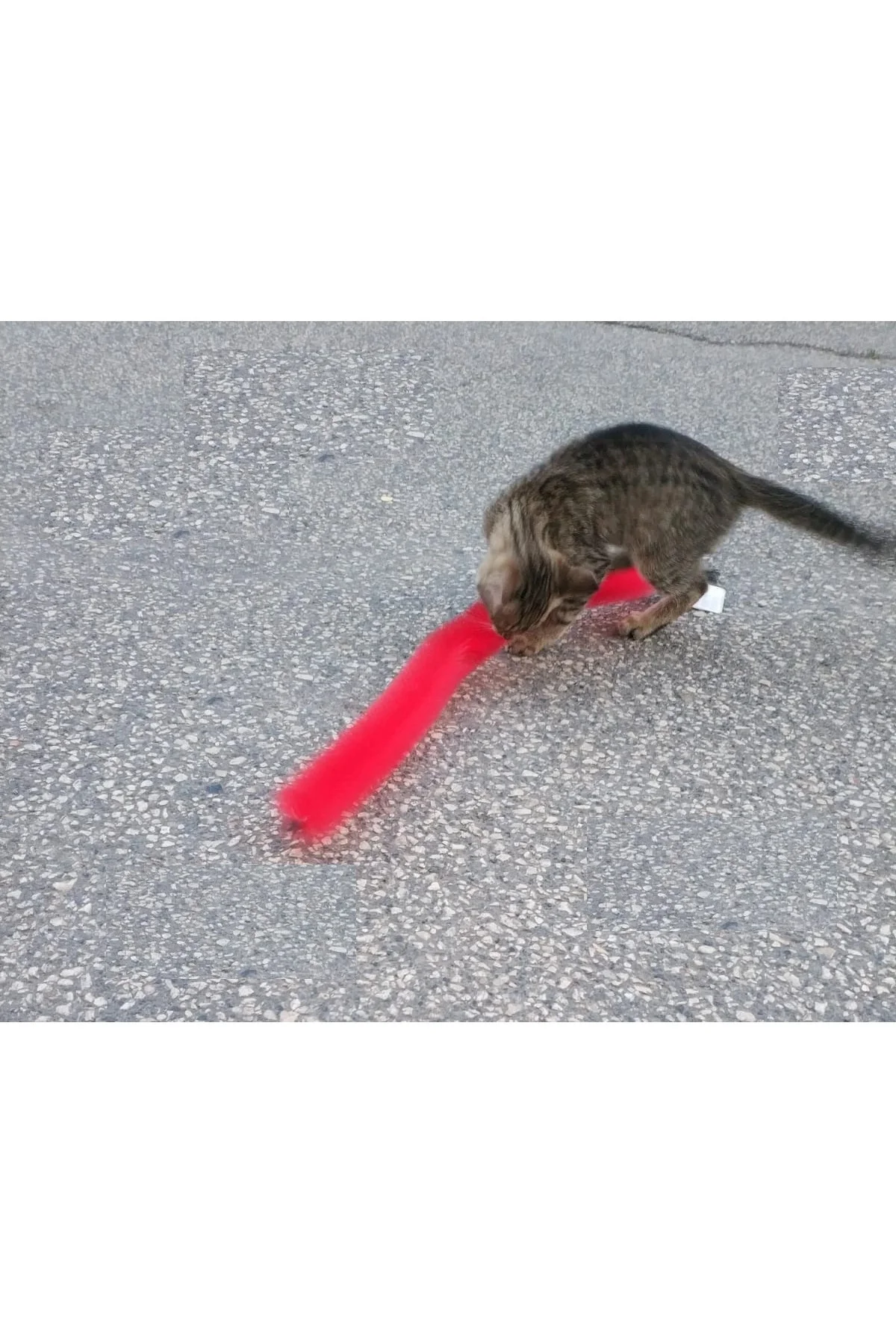 Kedi Tırmalama Fırçası - Kedi Oyuncağı - Görsel 4