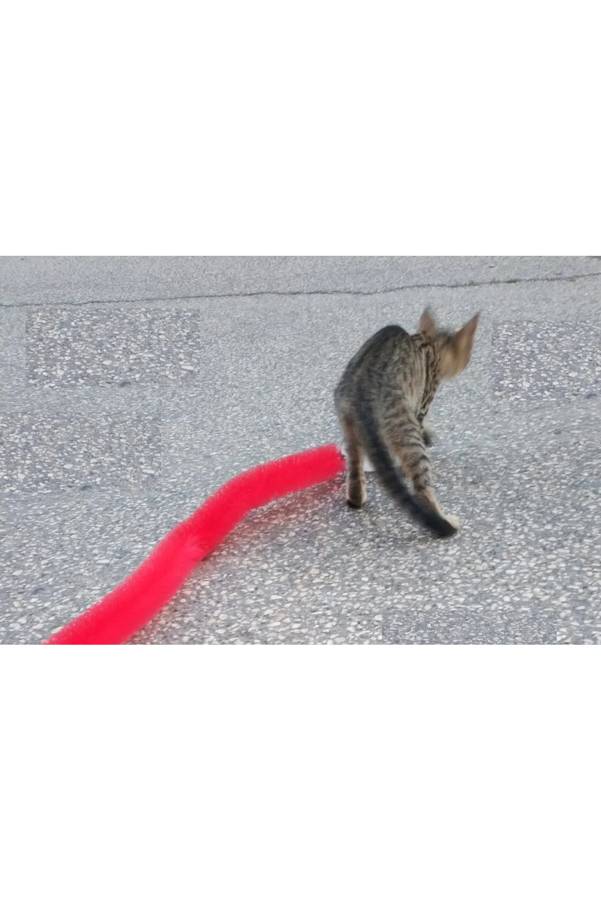 Kedi Tırmalama Fırçası - Kedi Oyuncağı - Görsel 5
