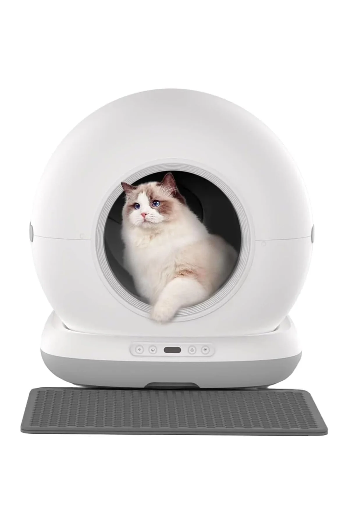 Kedi Tuvaleti Paspası, Otomatik Kedi Tuvaleti Önü Elekli Kedi Kum